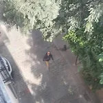Les Sureaux Апартаменты *