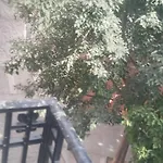 Les Sureaux Апартаменты Перпиньан