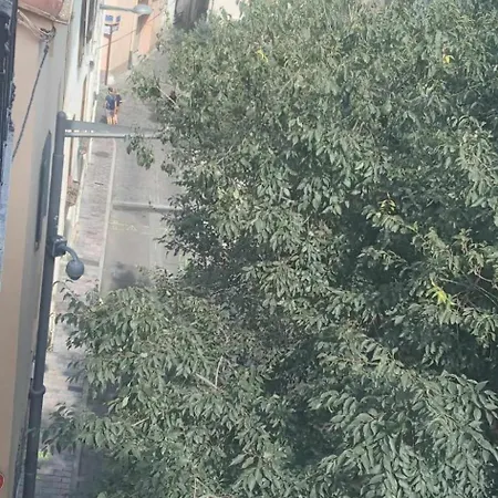 Appartement Les Sureaux Perpignan