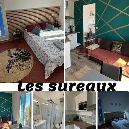 Les Sureaux - Hyper-centre - Design & Wifi - Ideal Visite פרפיניין