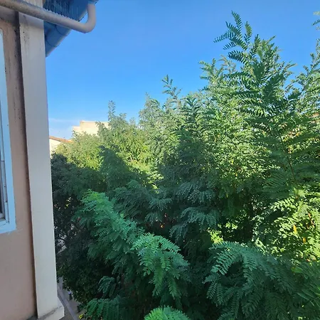 Appartement Les Sureaux